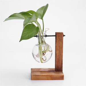 Glass Terrarium Table, Wood Terrarium Table